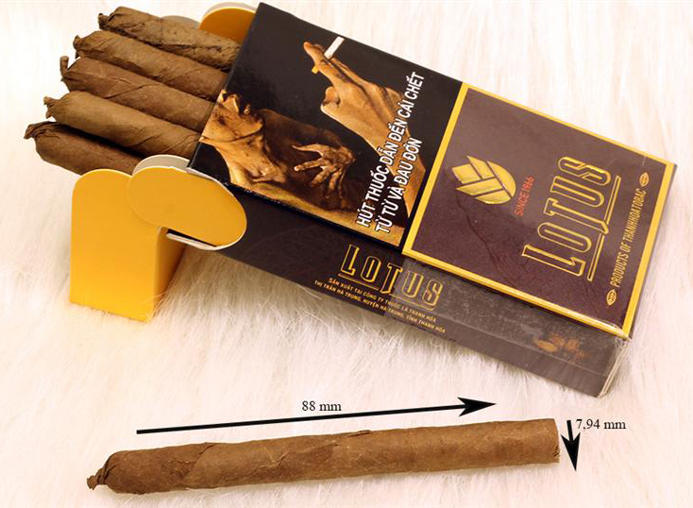 Cigar Club Lotus Mini hộp giấy 10 điếu-1