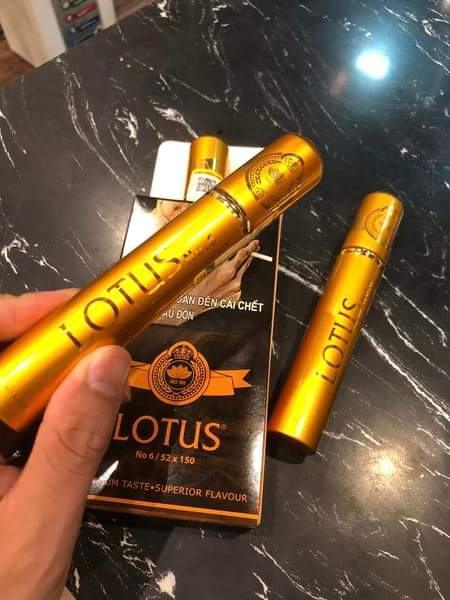 Xi Ga Lotus No 6